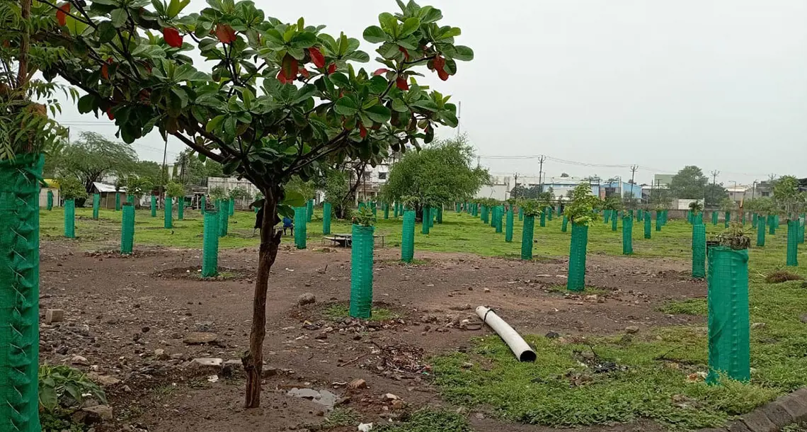 Gardening Nature Activity